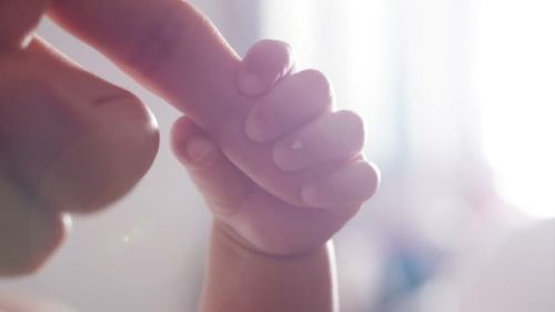 凯时k8官网，窝小芽一周系列产品指南：孩子健康成长从这一周开始！